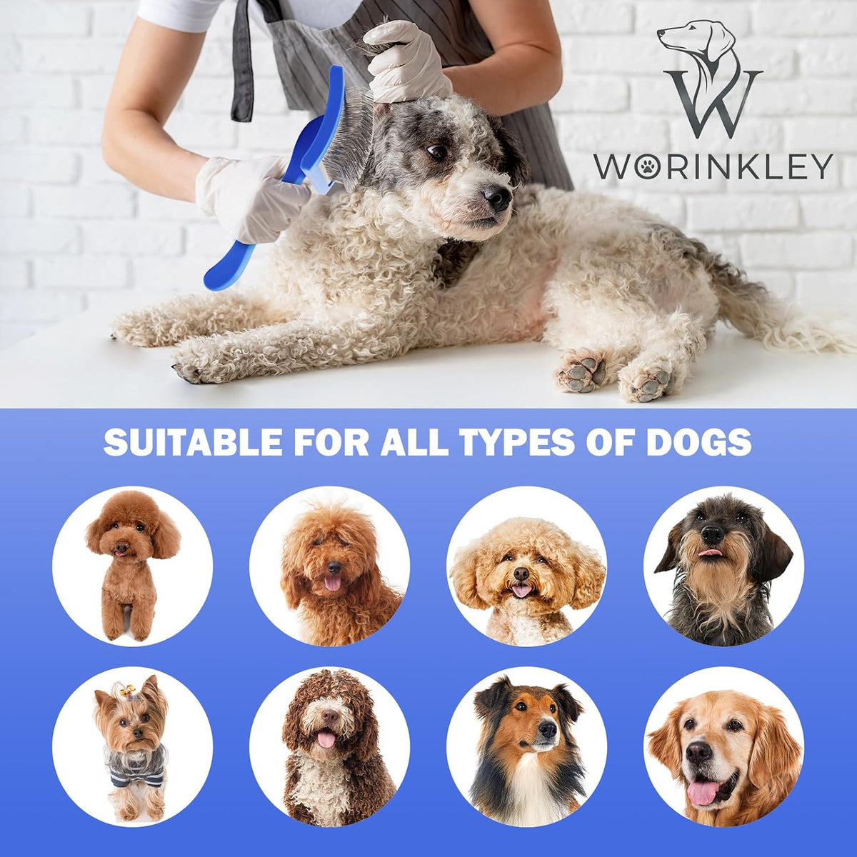Slicker Brush for Dogs - Long Pin Doodle Grooming Brush, Large