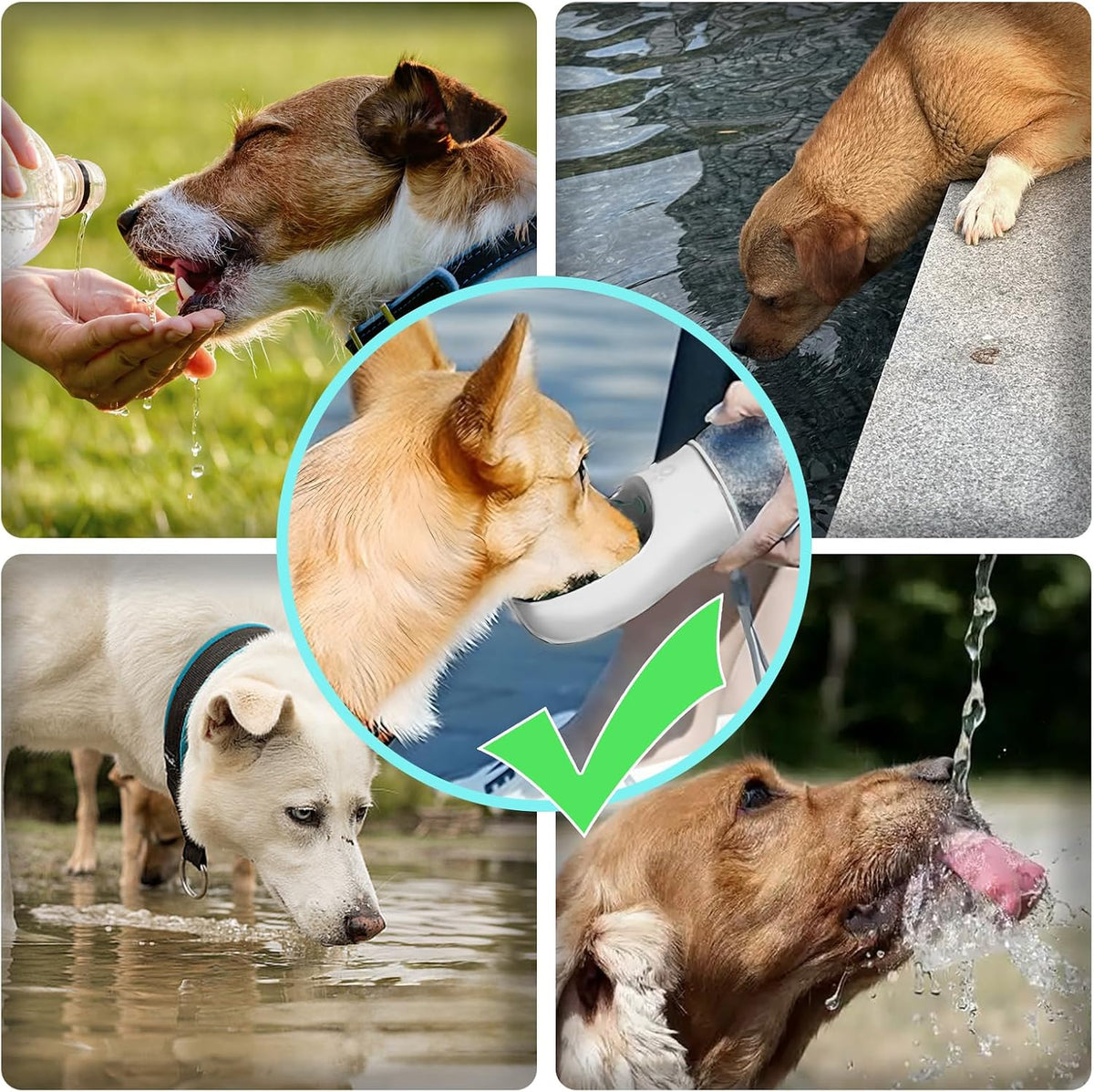 Kalimdor Dog Water Bottle,Leak Proof Portable Puppy Water Dispenser with Drinking Feeder, Dog Walking Accessories for Pets Outdoor Walking, Hiking, Travel, Food Grade Plastic