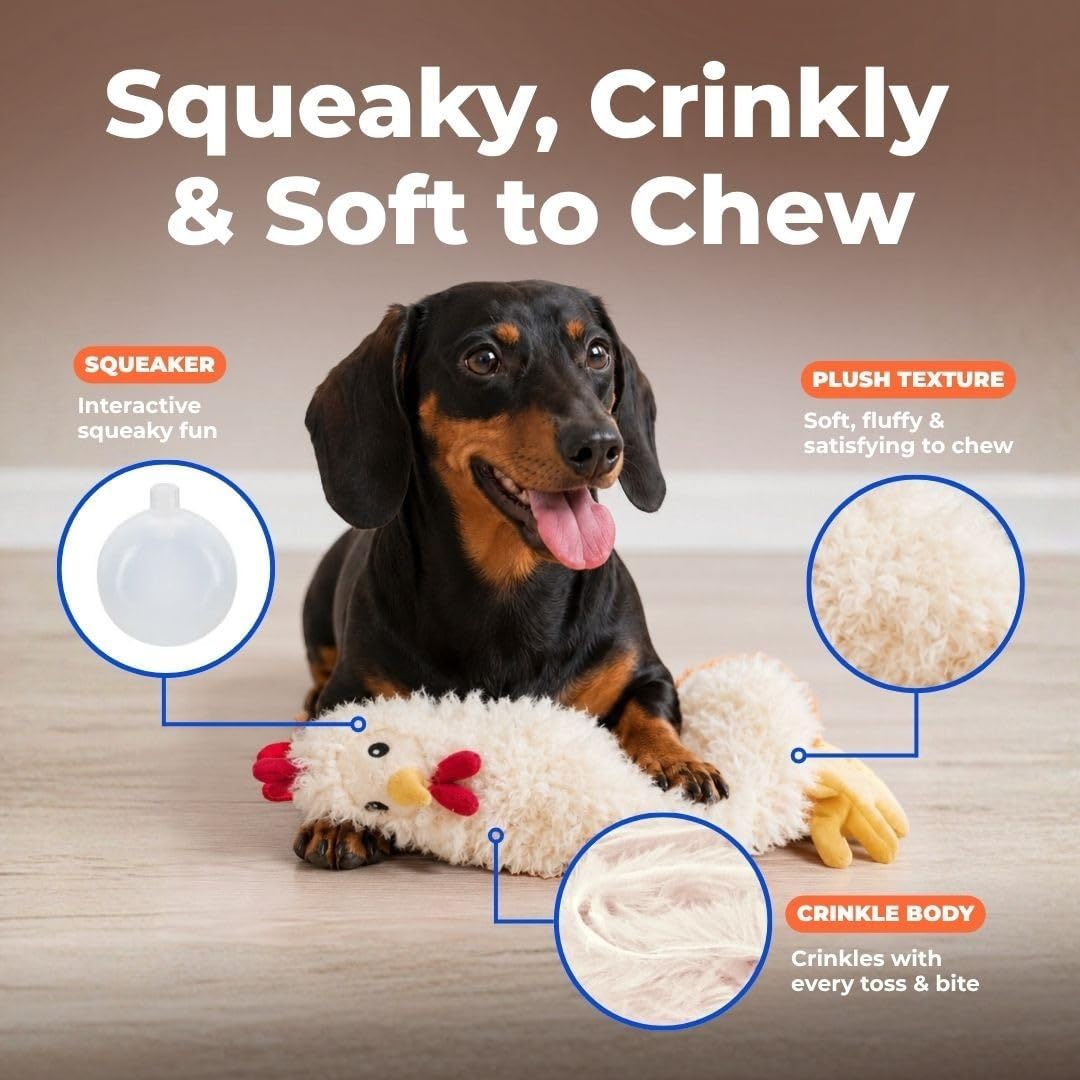 Best Pet Supplies Interactive Squeaky Dog Toy - Crinkle Chicken, Beige