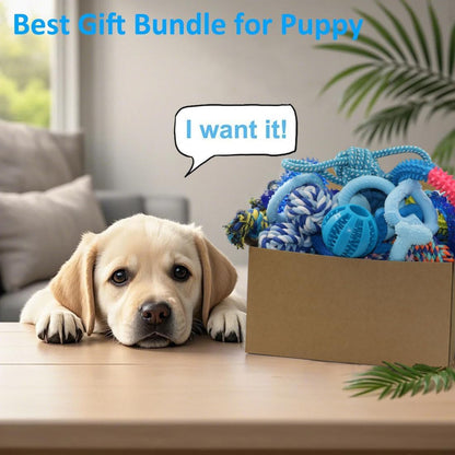 Beiker 20 Pack Puppy Chew Toys, Dog Teething Toys for Puppies Small Dogs