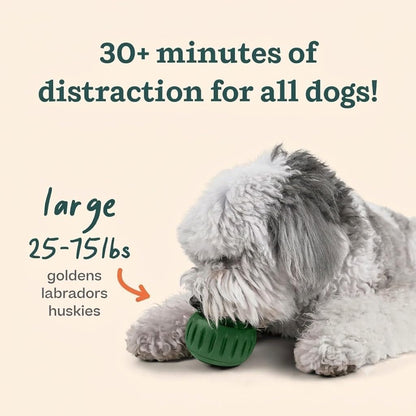 WOOF Starter Pack Dog Treat Toy for Large Dogs 25-75 lbs