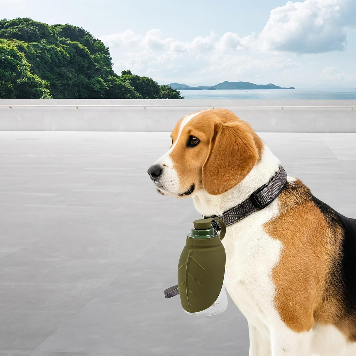 Portable Dog Water Bottle, ABS + Silicone Pet Water Dispenser
