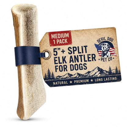 Devil Dog Pet Co Whole Elk Antlers for Dogs, XL, Aggressive Chewers