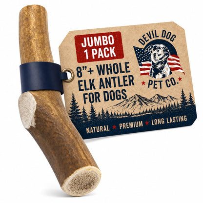 Devil Dog Pet Co Whole Elk Antlers for Dogs, XL, Aggressive Chewers