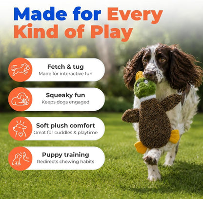 Best Pet Supplies 2-in-1 Fun Skin Stuffless Dog Toy - Wild Duck, Medium