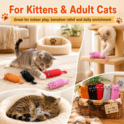 Legendog 5Pcs Bite Resistant Catnip Toy for Cats,Catnip Filled Cartoon Mice Cat Teething Chew Toy