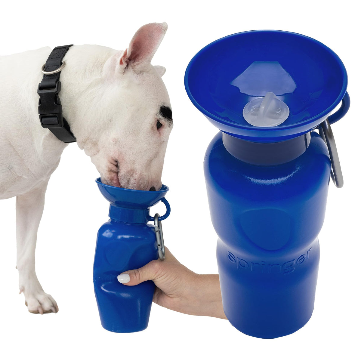 Springland 15oz Classic Portable Dog Water Bottle with Built-in Bowl, Lilac