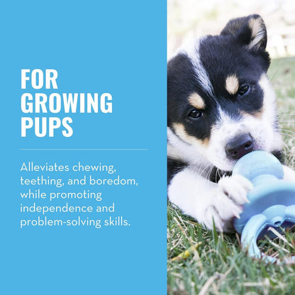 KONG Puppy Binkie, Natural Rubber Teething Toy, for Small Puppies, Blue