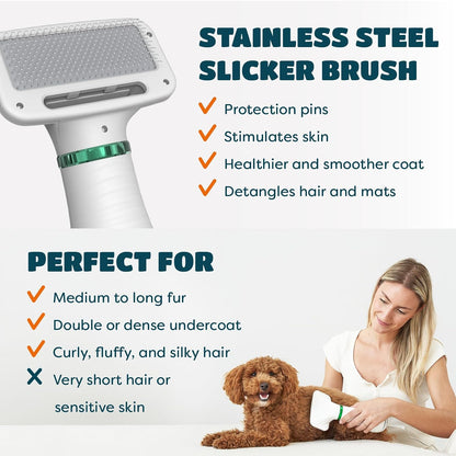 2-in-1 Dog Hair Dryer with Brush for Small Dogs and Cats, Pet Blow Dryer