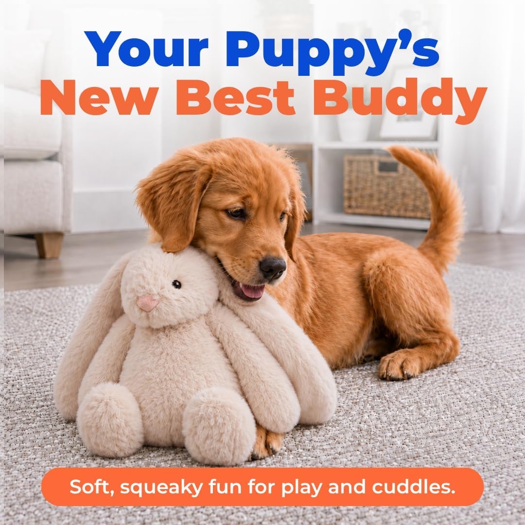 Best Pet Supplies Bunny Buddy Squeaky Plush Dog Toy - Beige, Medium