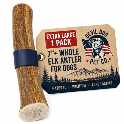 Devil Dog Pet Co Whole Elk Antlers for Dogs, XL, Aggressive Chewers