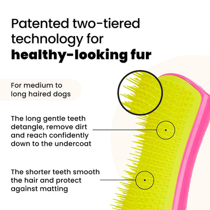 Pet Teezer Detangling Dog Brush for Long Hair Breeds, Large, Pink & Yellow