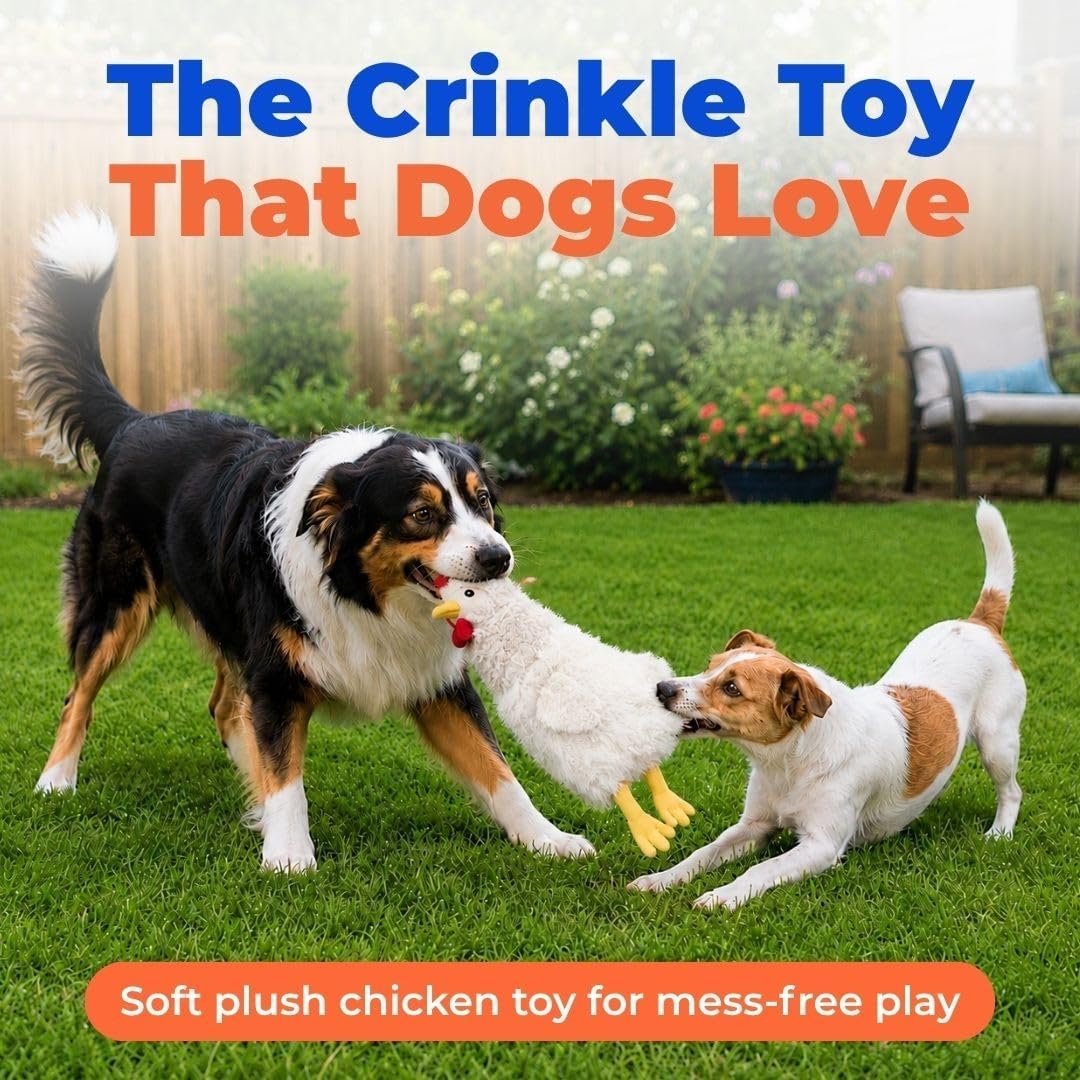 Best Pet Supplies Interactive Squeaky Dog Toy - Crinkle Chicken, Beige