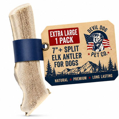 Devil Dog Pet Co Whole Elk Antlers for Dogs, XL, Aggressive Chewers