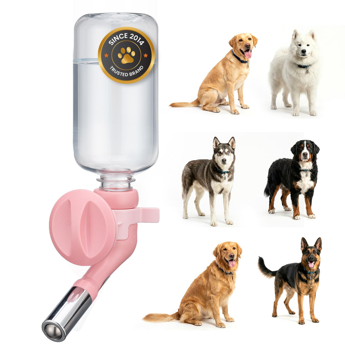 Choco Nose No-Drip Water Bottle for Small Dogs & Cats (10–25 lb) - Leak-Proof Patented 16mm Nozzle Helps Prevent Mess & Spills, BPA Free, Easy to Install Cage & Crate Mount Feeder, 10.2 fl oz (C590)