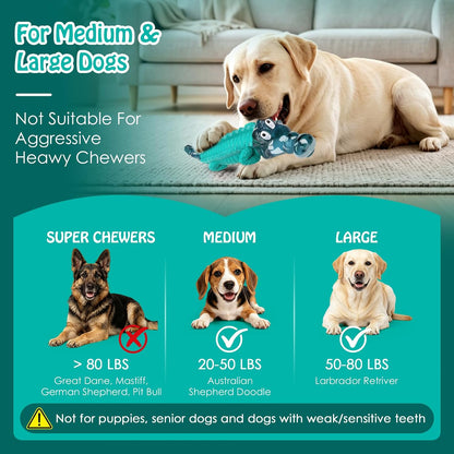 Jeefome Dog Toys for Aggressive Chewers