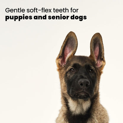 Pet Teezer Puppy Essential Dog Brush, Extra Soft Teeth, Wet or Dry, Purple