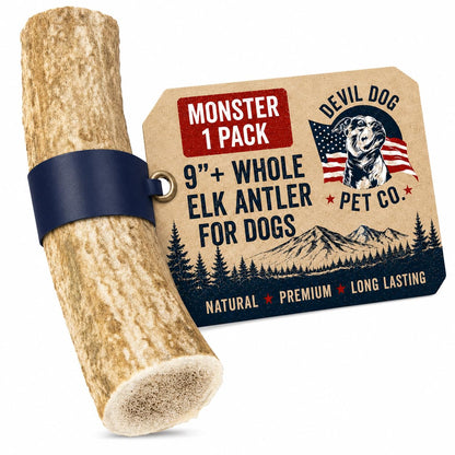 Devil Dog Pet Co Whole Elk Antlers for Dogs, XL, Aggressive Chewers