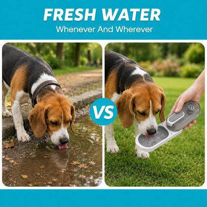 Dog Water Bottle Portable, 11.8 oz(350 ml)