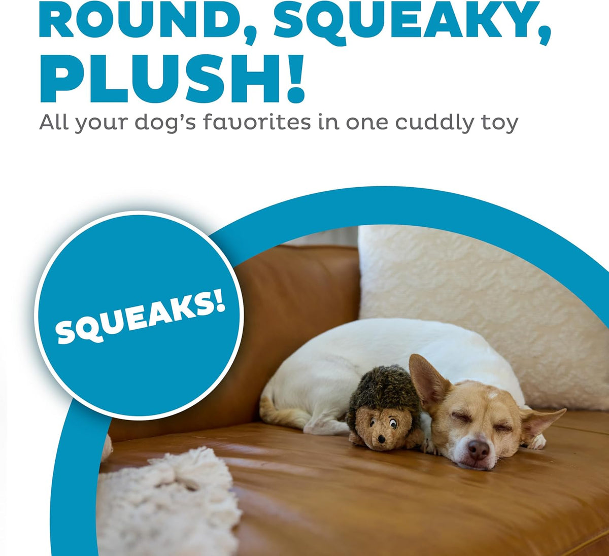 Outward Hound Hedgehogz Plush Dog Toy, Squeaks, Small, 6" x 4.5"