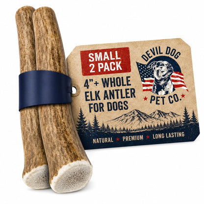 Devil Dog Pet Co Whole Elk Antlers for Dogs, XL, Aggressive Chewers