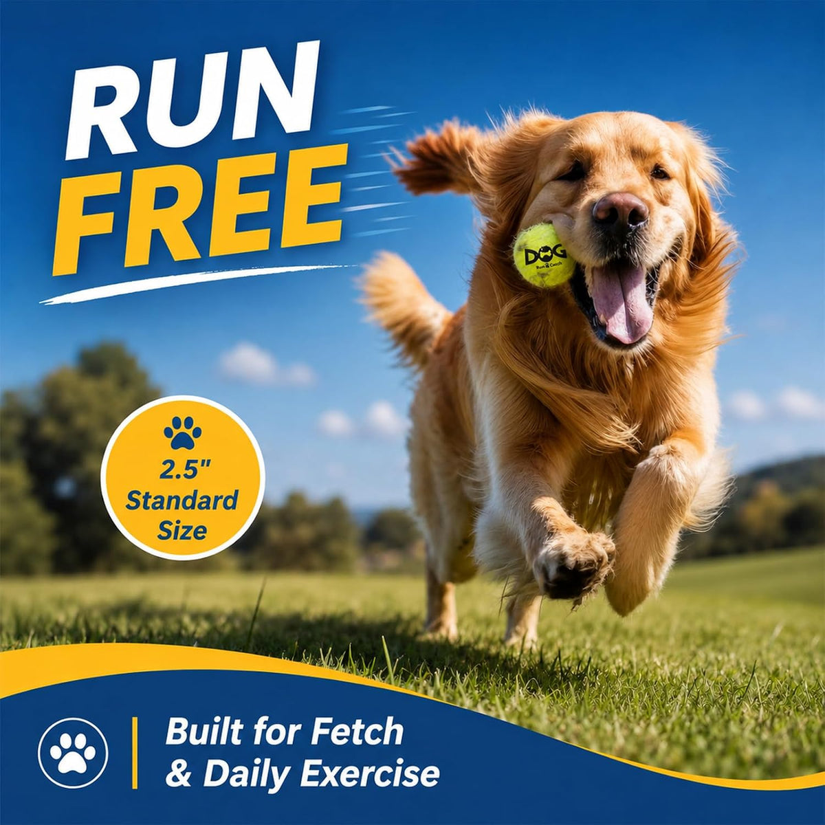 INSUM Tennis Balls for Dogs, 12 Pack Colorful Dog Toys Balls