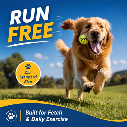 INSUM Tennis Balls for Dogs, 12 Pack Colorful Dog Toys Balls