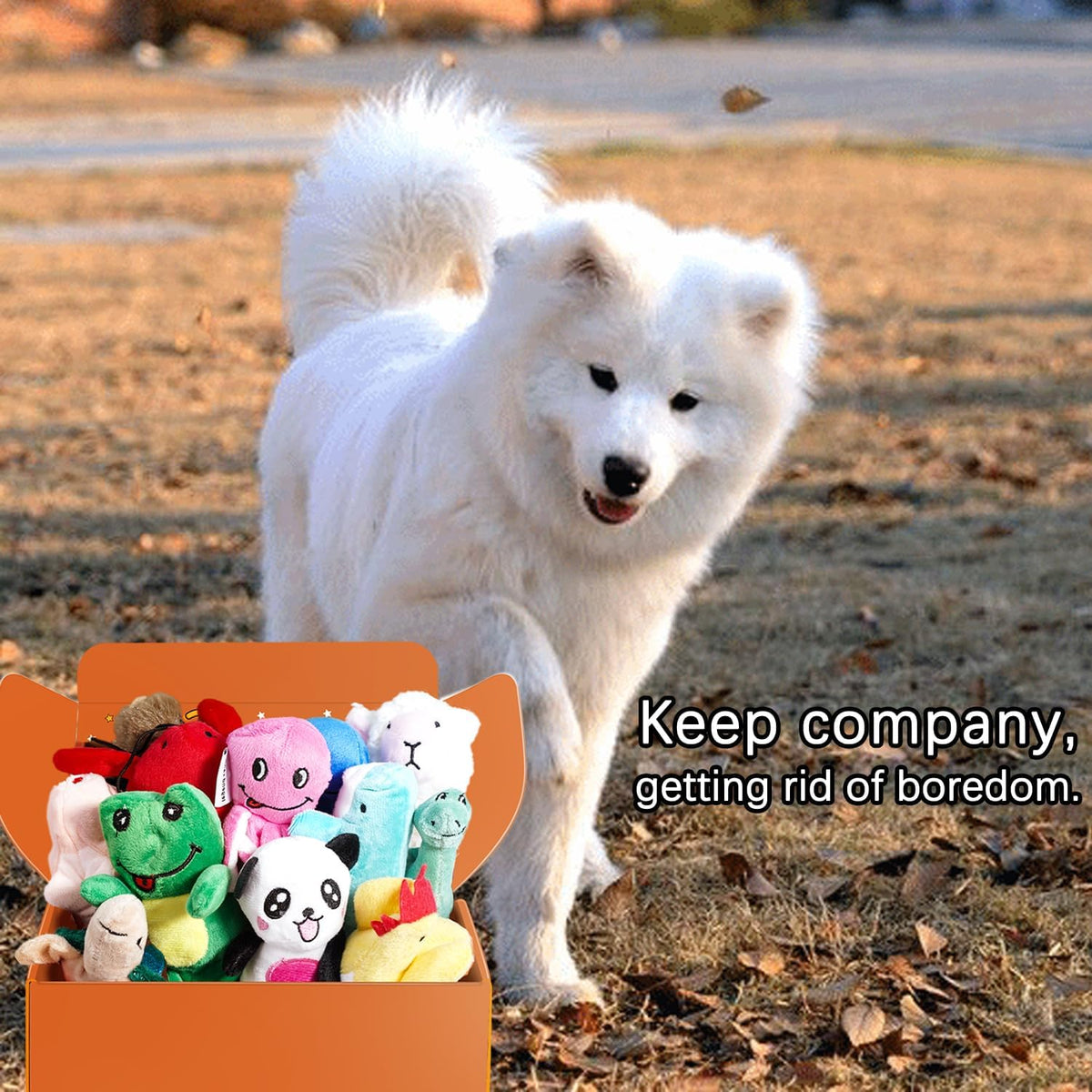 LEGEND SANDY Squeaky Plush Dog Toy Pack for Puppy, Small Puppy Chew Toys