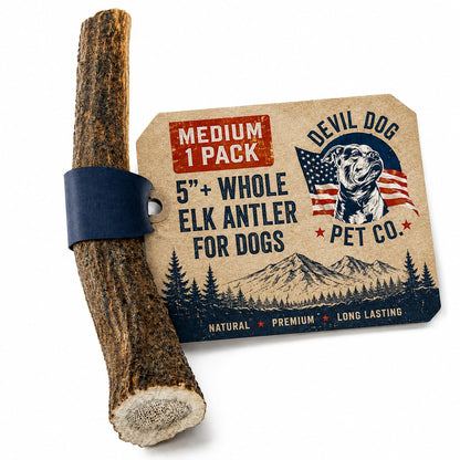 Devil Dog Pet Co Whole Elk Antlers for Dogs, XL, Aggressive Chewers