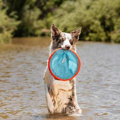 Chuckit! Paraflight Flying Disc Dog Toy, Floats, Size Large, 1 Pack