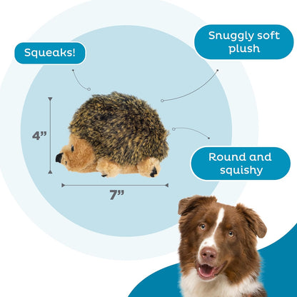 Outward Hound Hedgehogz Plush Dog Toy, Squeaks, Small, 6" x 4.5"