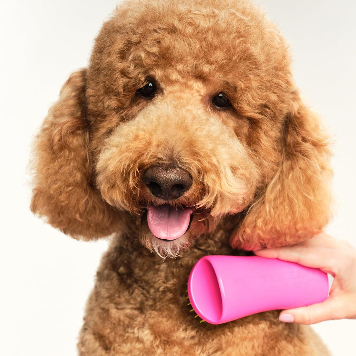 Pet Teezer Detangling Dog Brush for Long Hair Breeds, Large, Pink & Yellow
