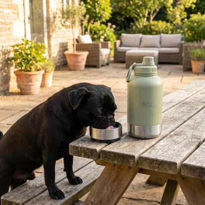 Outdoor Dog Water Bottle with 2 Stainless Steel Bowls — PAWLO 3-in-1 Portable Insulated 32oz Travel Dispenser for Hiking, Walking, Camping, Road Trips — Leakproof Dog Bowl Set with Lid (Sage Green)