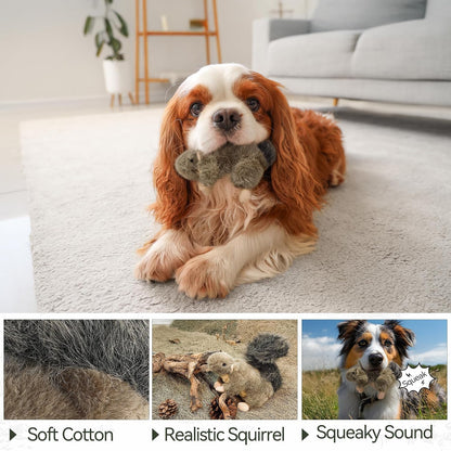 ALL FOR PAWS Classic Squirrel Pet Toys, Small