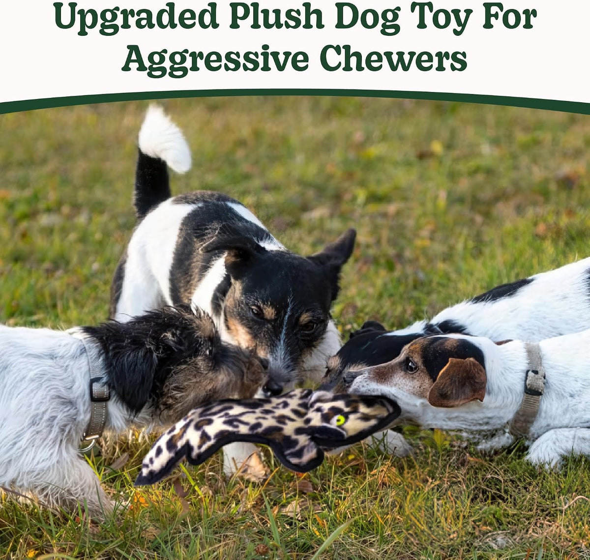 SHARLOVY No Stuffing Dog Toys Crinkle Squeaky, Long Lasting Chews for Aggressive, Durable Plush Dog Puppy Chew Toys for Teething, with 6 Tough Layers for Small Medium Large Breed-5pack,Large