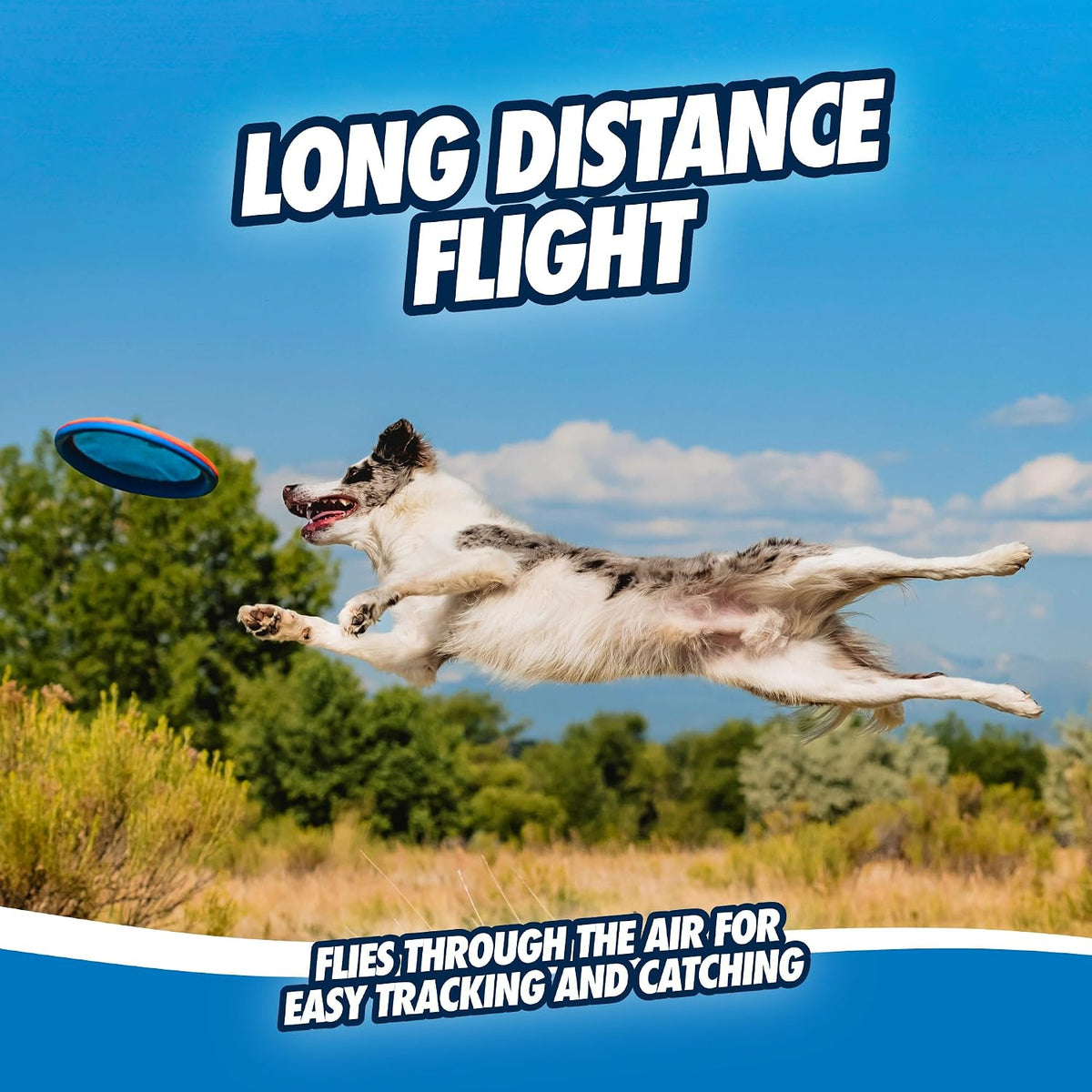 Chuckit! Paraflight Flying Disc Dog Toy, Floats, Size Large, 1 Pack