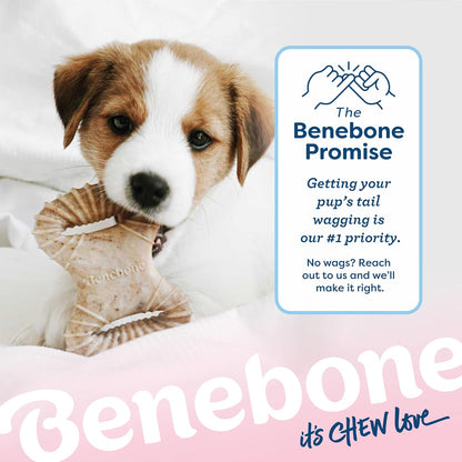 Benebone Puppy 2-Pack Dental Chew/Wishbone Dog Chew Toys, Real Bacon