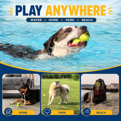 INSUM Tennis Balls for Dogs, 12 Pack Colorful Dog Toys Balls