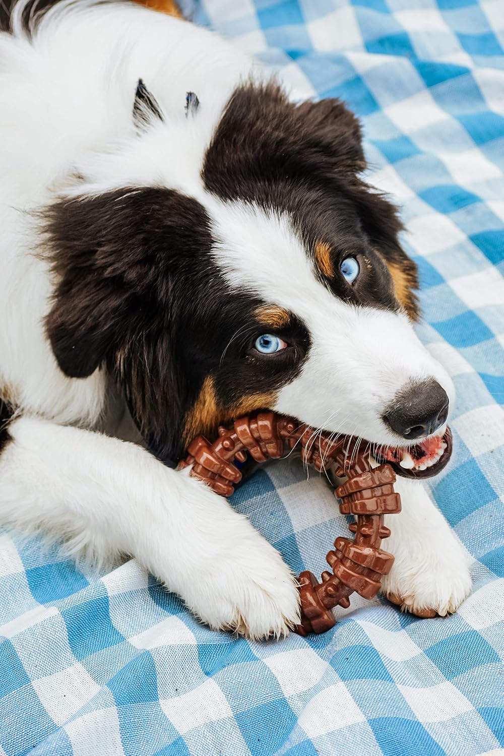Nylabone Textured Ring Power Chew Toy for X-Large Dogs 50+ lbs