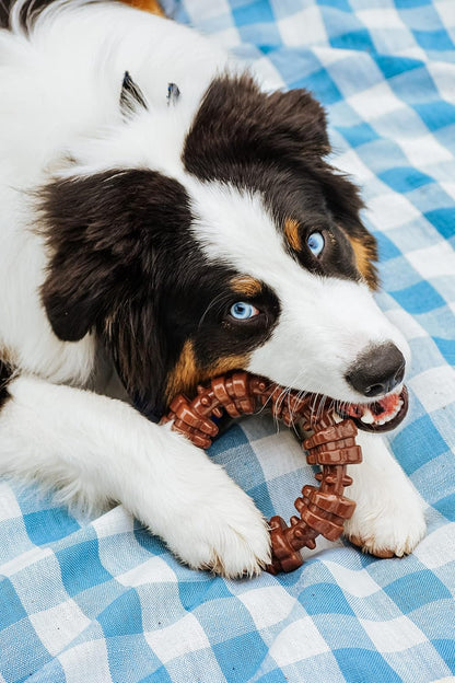 Nylabone Textured Ring Power Chew Toy for X-Large Dogs 50+ lbs